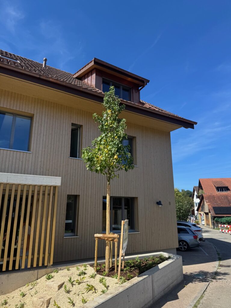 Hauseingang Hauseingang